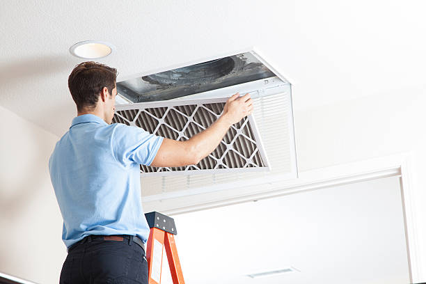 Best Air Filters and Purifiers in Green, OR